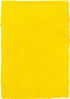 B-line Kusový koberec Spring Yellow