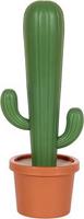 Balvi Kefa na riad Cactus 27553