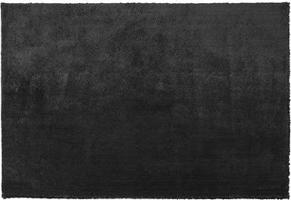 Koberec čierny 200 × 300 cm Shaggy EVREN, 186360